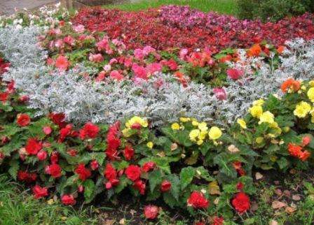 Blomsterarrangementer. Udvælgelsesregler