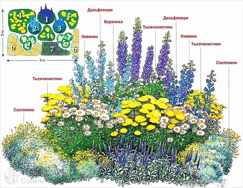 الصورة: مخطط mixborder المزهرة المستمر