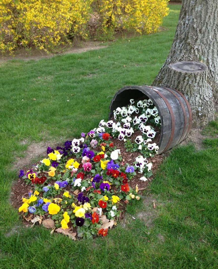 Alkuperäinen ratkaisu kukkapenkistä maan muodossa hajallaan potista, jossa on petunias -kukkia