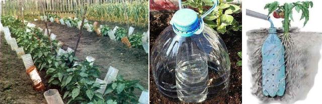 تنظيم الري باستخدام الزجاجات البلاستيكية
