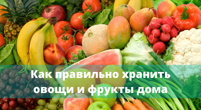 Ako správne skladovať zeleninu a ovocie doma: triky zo svoimi-rukamy.com