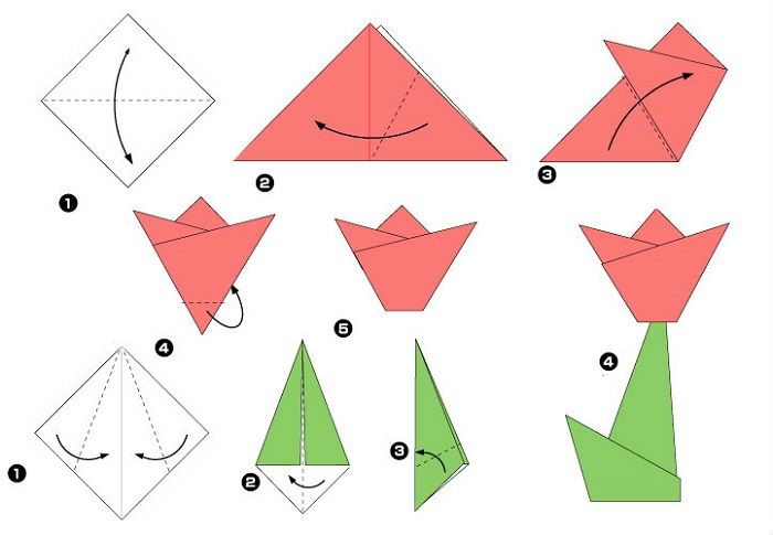 Papir tulipan (diagram)