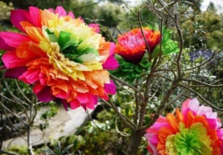 Disse blomster kan bruges til at dekorere et værelse eller oprette en bryllup blomsterbue.