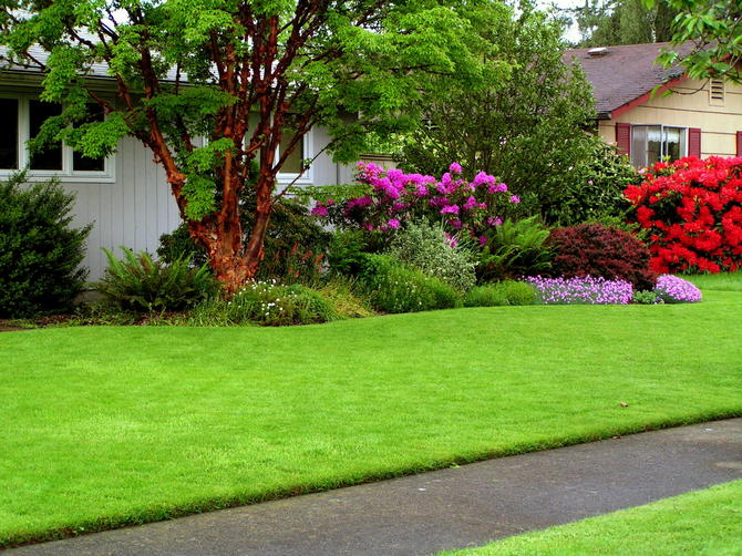 Parterre græsplæne